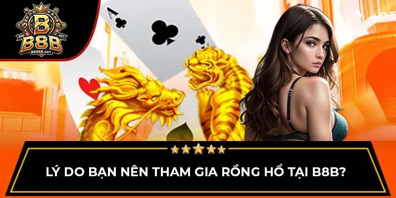 Lý do bạn nên tham gia Rồng Hổ tại B8B?